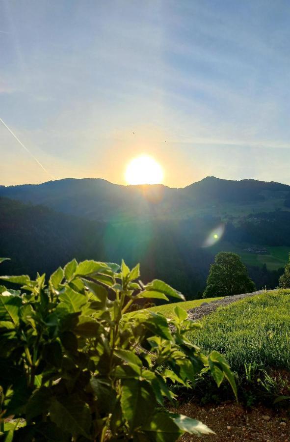 BERGappartement KINK Hopfgarten im Brixental Extérieur photo