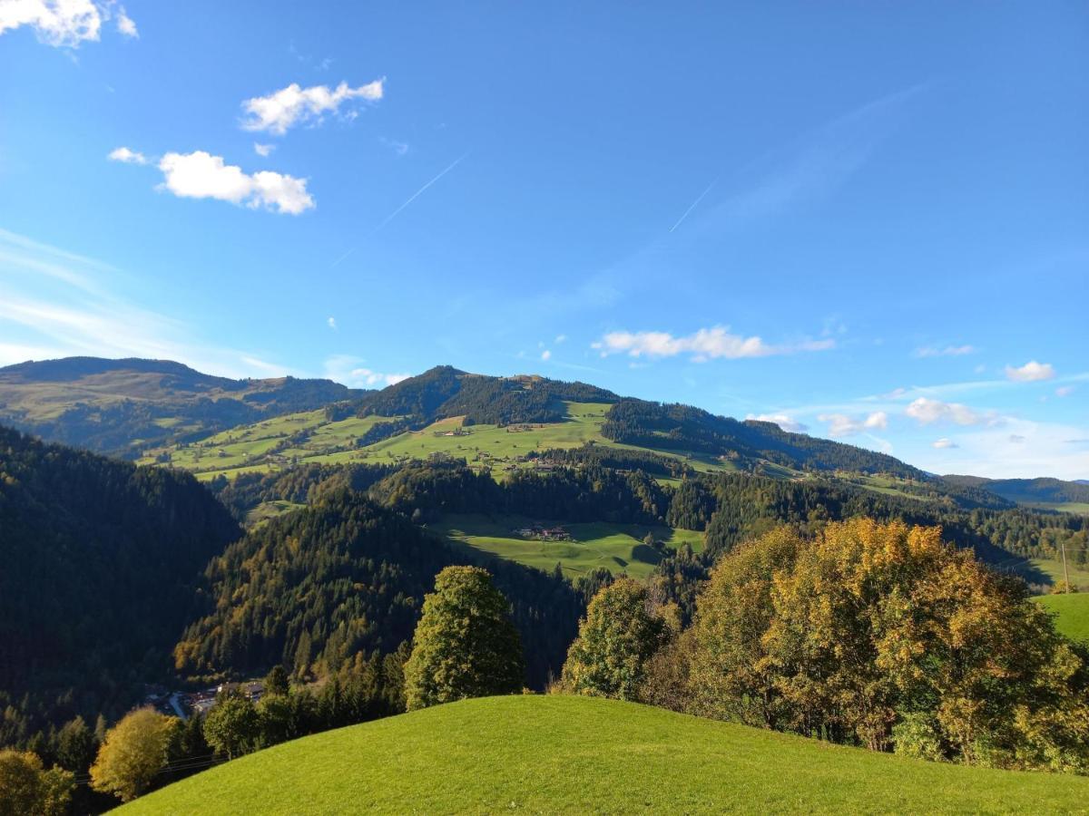BERGappartement KINK Hopfgarten im Brixental Extérieur photo